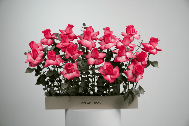 Get well soon roses